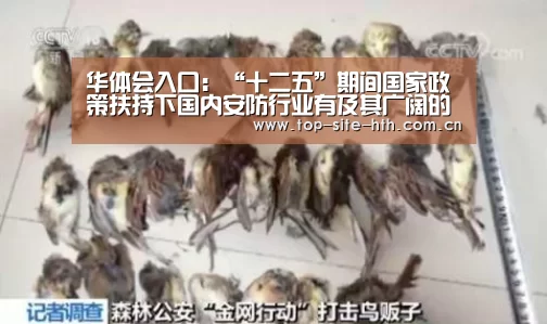 华体会登陆