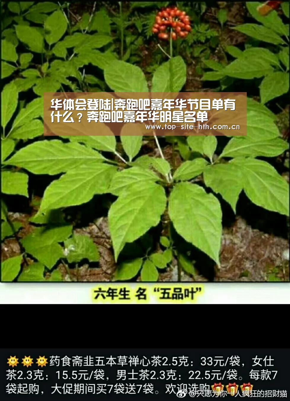 华体会登陆