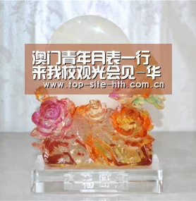 
澳门青年月表一行来我校观光会见-华体会(图2)