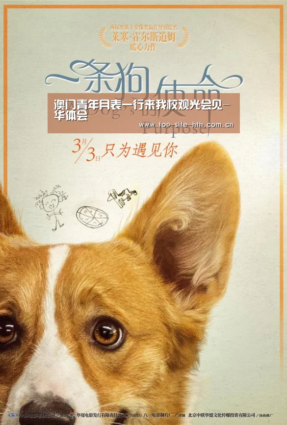 
澳门青年月表一行来我校观光会见-华体会(图4)