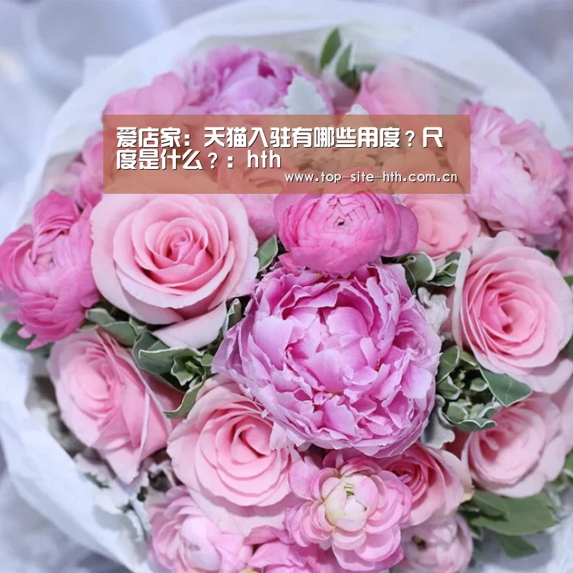爱店家:天猫入驻有哪些用度?尺度是什么?:hth(图2) 华体会入口
