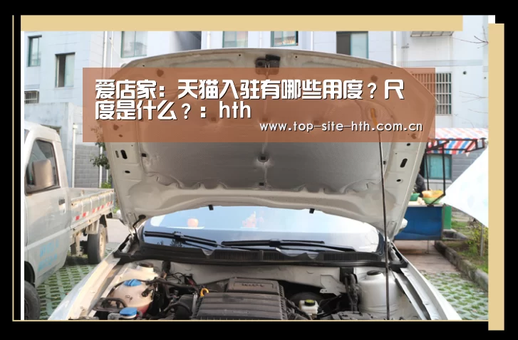 爱店家:天猫入驻有哪些用度?尺度是什么?:hth(图1) 华体会