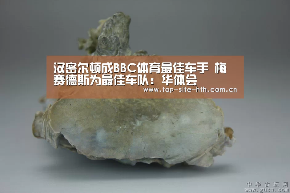 汉密尔顿成BBC体育最佳车手 梅赛德斯为最佳车队:华体会(图2) 华体会入口