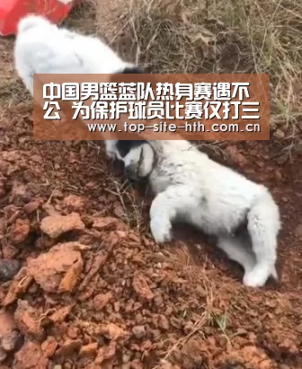 华体会登陆